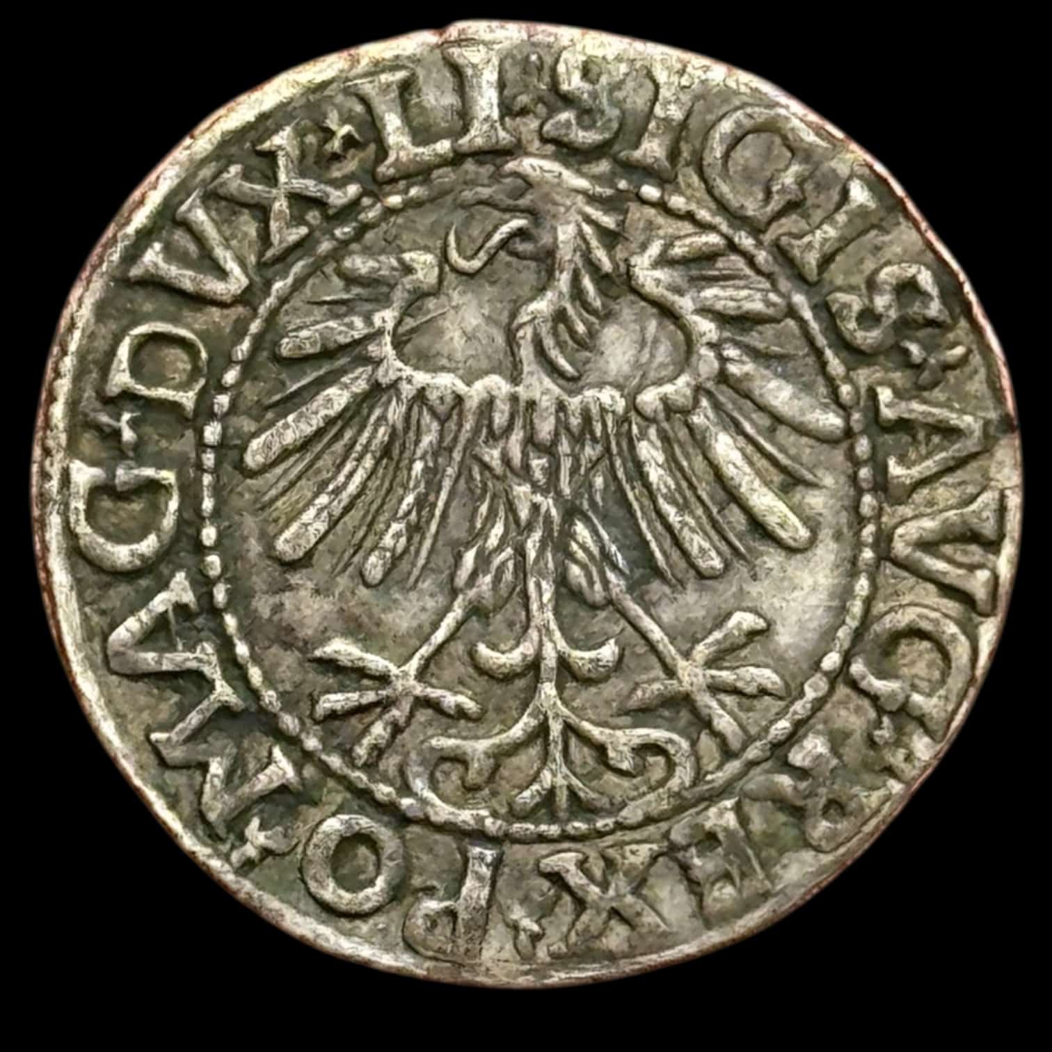 Polen / Litauen, 1/2 Groat 1557, Sigismund ll August, Kopicki 3249, Kva. 1+-01 - Image 2
