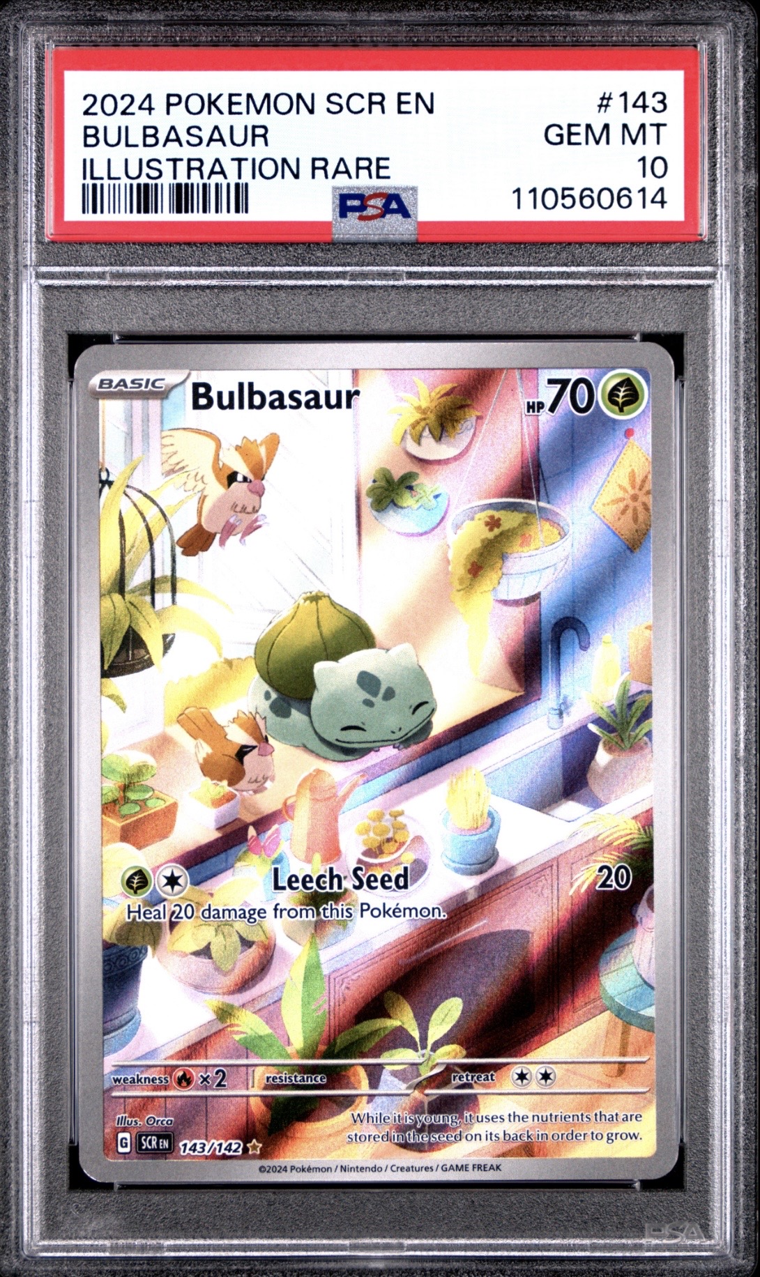 Pokemon TCG, 2024 Pokemon Scarlet and Violet Stellar Crown Illustration Rare Bulbasaur #143 PSA 10