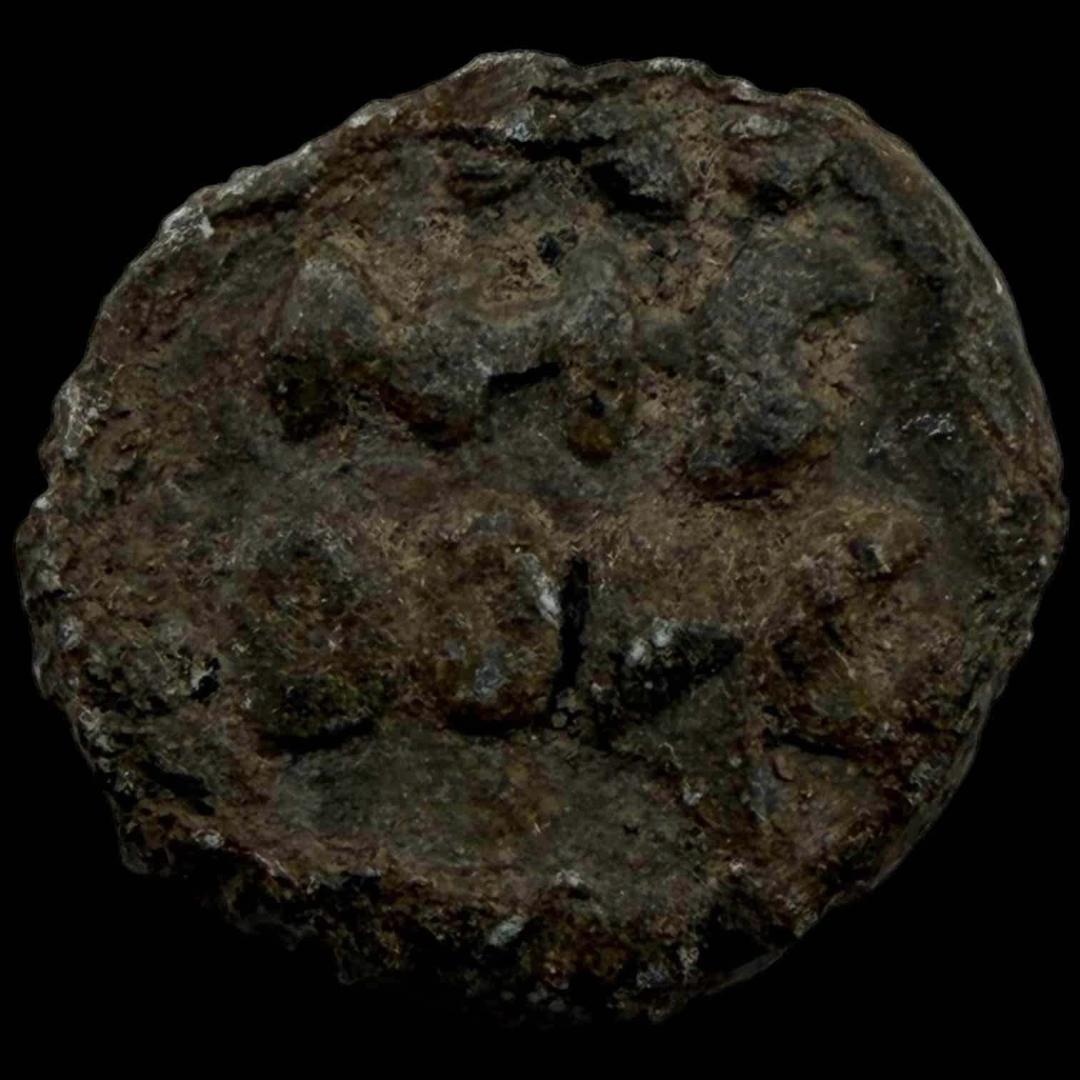 Trankebar / Danish India, 1 kas u.år, Bly, AAL BORG, Chr.IV, Sieg 11.1, KM 19, UBJ 19, Kva. 1 "Sjælden" - Image 2